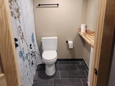 Bathroom view from doorway with dark tile floor
